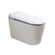 KS09BL215-SANITARIO-ASTON-INTELIGENTE-BLANCO--2-