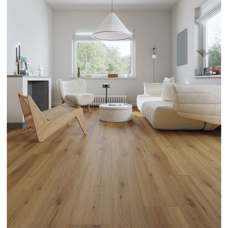 KF04CF254--7-