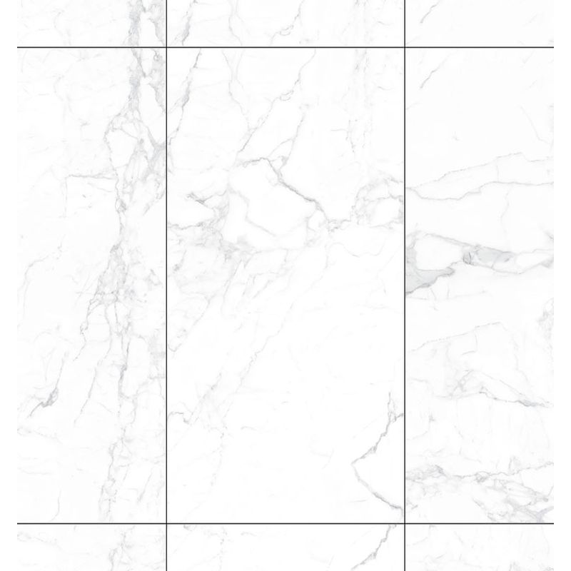 NG04BL042---tendido-principal